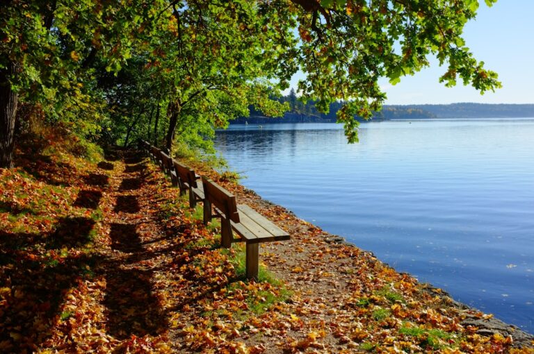 Unikke Campingoplevelser i Jylland: Ribe Camping som Din Ideelle Destination