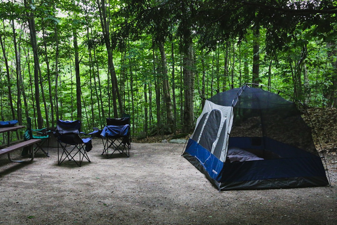 Oplev den perfekte campingplads til din næste ferie
